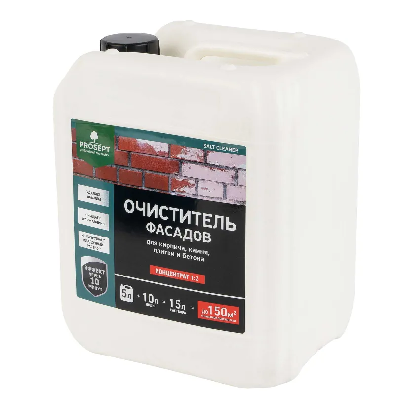Удалитель высолов Prosept Salt Cleaner Концентрат 1:2 5 л