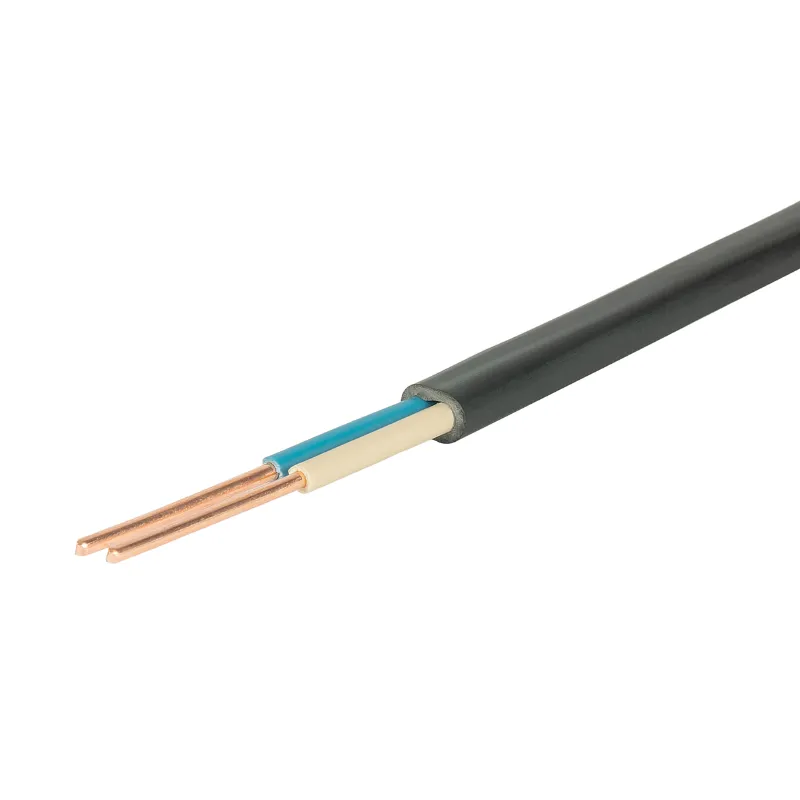 Кабель ВВГпнг LS 2х2,5 ГОСТ 10м