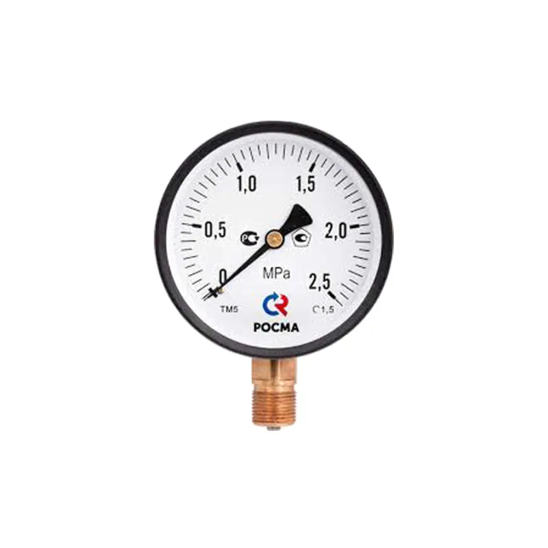 Манометр радиальный 6 бар 1/4" ТМ-310Р Росма